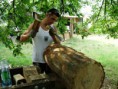 /album/galeria/a422994-262642520474107-1024462462-n-jpg/