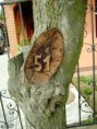 /album/galeria/a430373-262637650474594-1013099810-n-jpg/