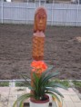 /album/galeria/dsc00163-jpg/